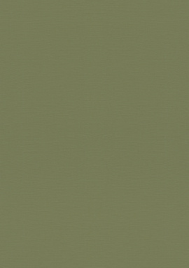 687538 Обои Rasch Natural Colors 0.53x10.05