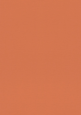 687569 Обои Rasch Natural Colors 0.53x10.05