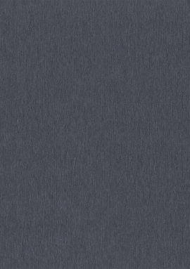 978490 Обои Rasch Sky Lounge 1.06x10.05