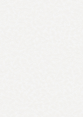 W189126 Обои Wall-Up (Bright Whisper) (1*6) 10,05х1,06  винил на флизелине