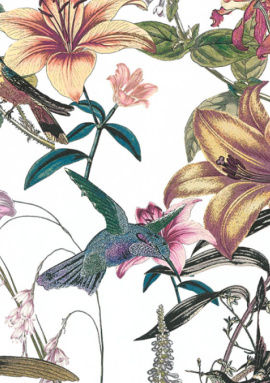 37701-1 Обои As Creation Jungle Chic 0.53x10.05