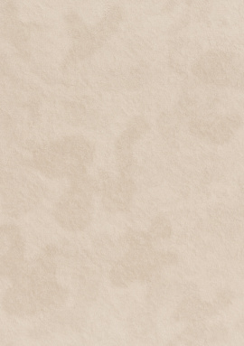 R 24123 Обои Fipar (Meteora) (1*4) 10,05х1,06 винил на флизелине