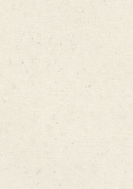 520828 Обои Rasch (Beltesto) (1*12) 10,05x0,53 винил на флизелине