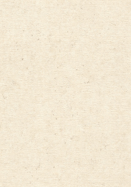 520835 Обои Rasch (Beltesto) (1*12) 10,05x0,53 винил на флизелине