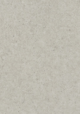 520859 Обои Rasch (Beltesto) (1*12) 10,05x0,53 винил на флизелине