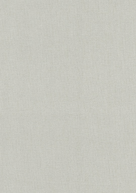 633757 Обои Rasch (Beltesto) (1*12) 10,05x0,53 винил на флизелине