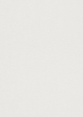 899023 Обои Rasch (Beltesto) (1*12) 10,05x0,53 винил на флизелине