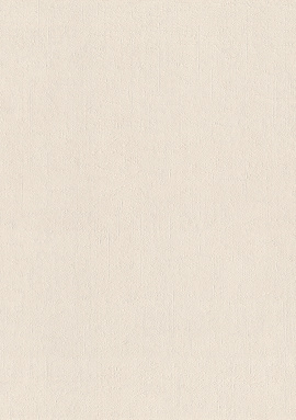 990317 Обои Rasch (Unitex) (1*6) 10,05x1,06 винил на флизелине