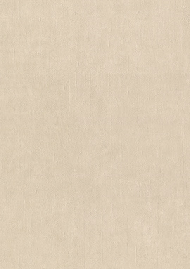 990355 Обои Rasch (Unitex) (1*6) 10,05x1,06 винил на флизелине