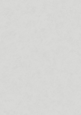 MIR5 008 Обои HYGGE Roll (Made in Russia) (1*6) 10,05x1,00 флизелин