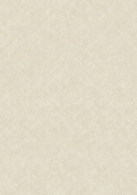 CO 1102 Обои Grandeco (Concept) (1*6) 10,05х1,06  винил на флизелине