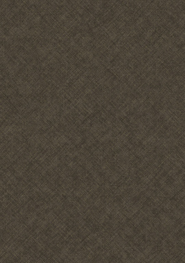 CO 1106 Обои Grandeco (Concept) (1*6) 10,05х1,06  винил на флизелине