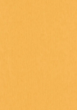 38384-5 Обои As Creation Versace 5 0.7x10.05