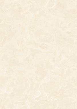 81013 Обои Zambaiti Philipp Plein 2 1.06x10.05