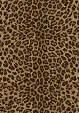 81029 Обои Zambaiti Philipp Plein 2 1.06x10.05