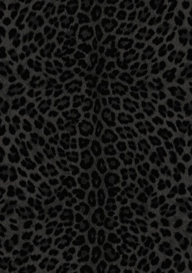 81031 Обои Zambaiti Philipp Plein 2 1.06x10.05