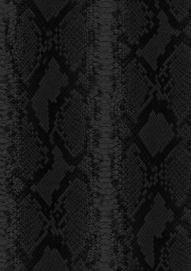 81034 Обои Zambaiti Philipp Plein 2 0.7x10.05