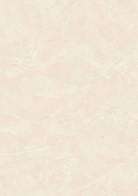 81011 Обои Zambaiti Philipp Plein 2 1.06x10.05