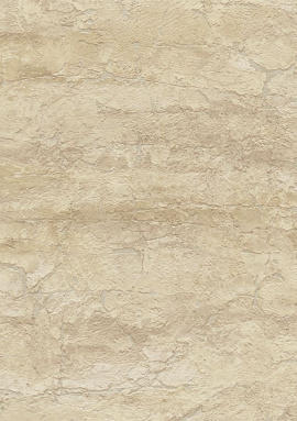 79204-2 Обои As Creation Fiori 1.06x10.05