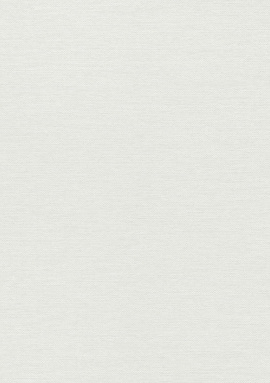 ER12257-01 Обои Erismann Forest Dreams 1.06x10.05