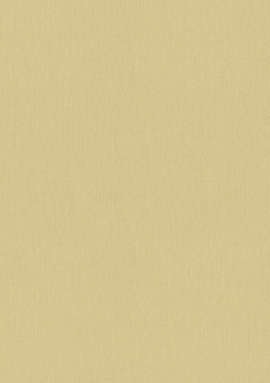 34327-5 Обои As Creation Versace 6 0.7x10.05