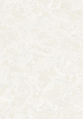 Z81006 Обои Zambaiti (Philipp Plein 2) (1*4) 10,05x1,06 винил на флизелине