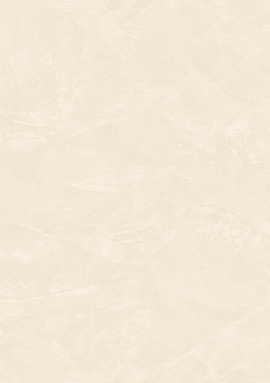 Z81011 Обои Zambaiti (Philipp Plein 2) (1*4) 10,05x1,06 винил на флизелине