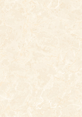 Z81013 Обои Zambaiti (Philipp Plein 2) (1*4) 10,05x1,06 винил на флизелине