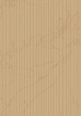 Z81016 Обои Zambaiti (Philipp Plein 2) (1*4) 10,05x1,06 винил на флизелине