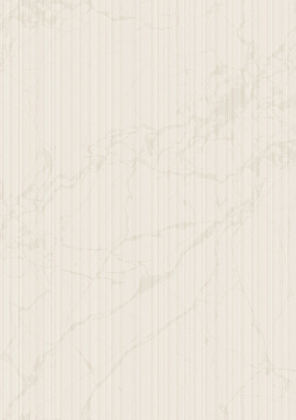 Z81020 Обои Zambaiti (Philipp Plein 2) (1*4) 10,05x1,06 винил на флизелине