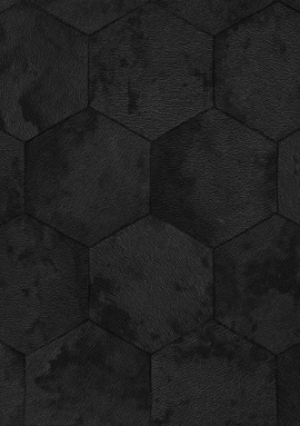 Z81025 Обои Zambaiti (Philipp Plein 2) (1*4) 10,05x1,06 винил на флизелине