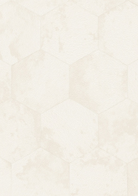 Z81026 Обои Zambaiti (Philipp Plein 2) (1*4) 10,05x1,06 винил на флизелине