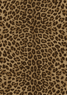 Z81029 Обои Zambaiti (Philipp Plein 2) (1*4) 10,05x1,06 винил на флизелине