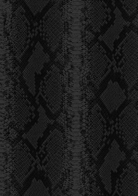 Z81034 Обои Zambaiti (Philipp Plein 2) (1*6) 10,05x0,70 винил на флизелине