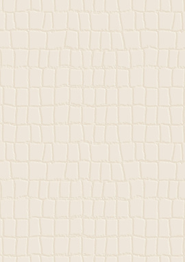 Z81035 Обои Zambaiti (Philipp Plein 2) (1*4) 10,05x1,06 винил на флизелине