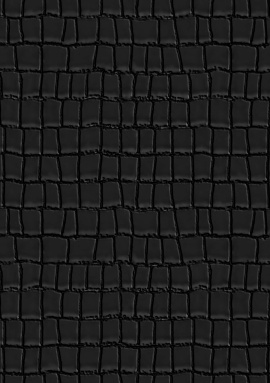 Z81037 Обои Zambaiti (Philipp Plein 2) (1*4) 10,05x1,06 винил на флизелине