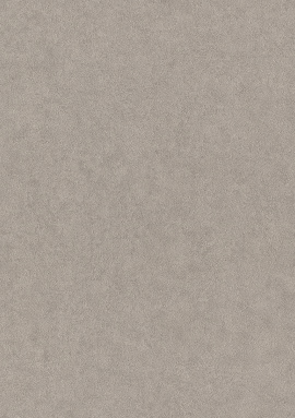944525 Обои Rasch (1*6) 10,05x 1.06 винил на флизелине