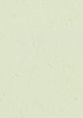 87984 Elisa (Cassanie)