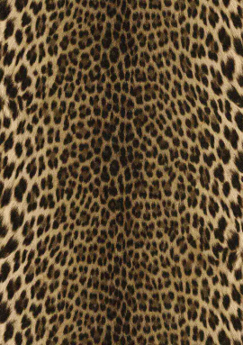 18029 Roberto Cavalli 7