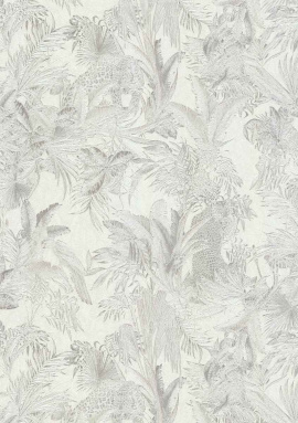 18009 Roberto Cavalli 7