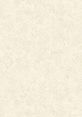 82636 Carrara Decori&Decori