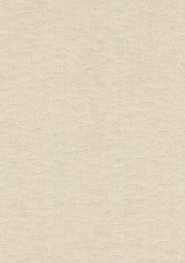 82890 AMORE Decori&Decori