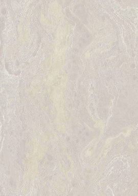 99132 Xenia