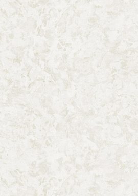 82651 Carrara Decori&Decori