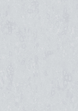 60111-3 Обои Bruno Zoff (Silver)