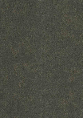 82642 Carrara Decori&Decori
